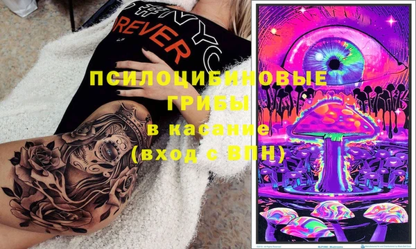 PSILOCYBIN Медвежьегорск